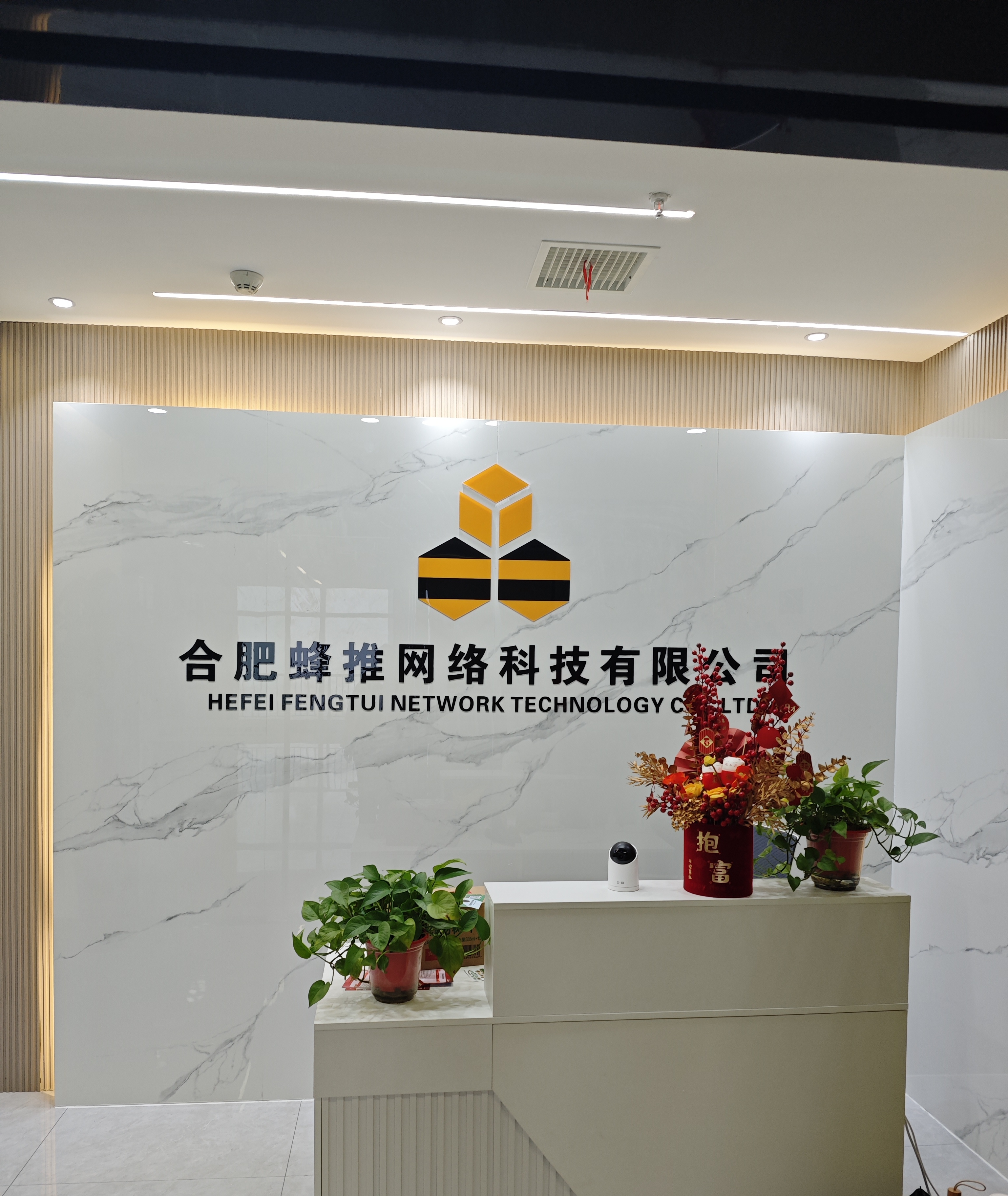 蜂小推-合肥蜂推网络科技有限公司